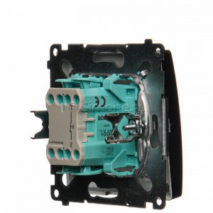 BMPR1.01/21