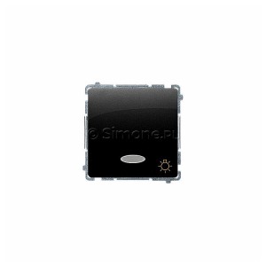 BMS1L24V.01/49