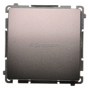 BMW1.01/21 Łącznik pojedynczy 10A Inox Met. Simon Basic - Widok z przodu