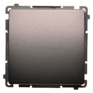 BMW6.01/21 Łącznik schodowy 10A Inox Met. Simon Basic - Widok z przodu