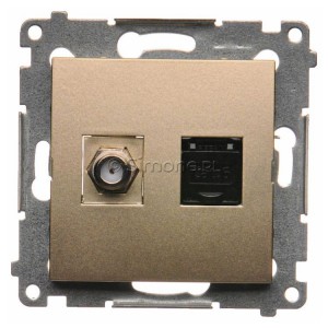 DASFRJ45.01/44 Gniazdo antenowe SAT pojedyncze + Gniazdo komputerowe kat.6 Złoty Mat Simon 54 - Widok z przodu