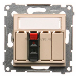 DGL31.01/41 - Widok z przodu