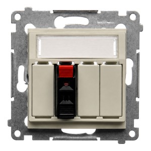 DGL31.01/42 - Widok z przodu