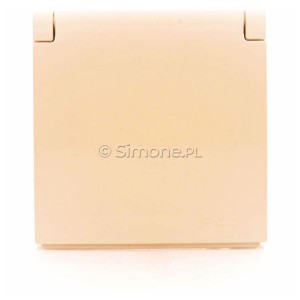 DGZ1BUZP/41 - Widok z przodu