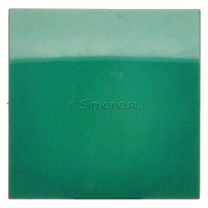 DKW1/33 Klawisz pojedynczy do mechanizmów: SW1M, SW6M, SW7M, SP1M Zielony Simon 54 - Widok z przodu