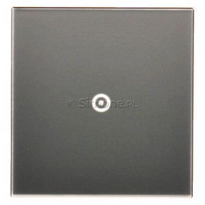 DSTR11/71 Panel Simon Touch Szkło 1-Modułowy z jednym polem dotykowym, Współpracuje z ST1M lub ST1S Srebrna Mgła Simon 54 - Widok z przodu