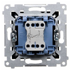 DW6L.01/X/49Widok z tyłu)