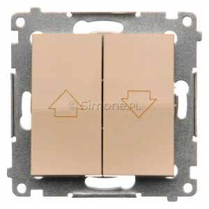 DZP1.01/41 - Widok z przodu