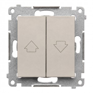DZP1.01/42 - Widok z przodu