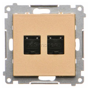 T62.01/144 Gniazdo komputerowe podwójne 2xRJ45 kat. 6 z przesłoną przeciwkurzową Szampański Mat Simon 55 - Widok z przodu