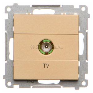 TAK1.01/144 Gniazdo antenowe TV pojedyncze Szampański Mat Simon 55 - Widok z przodu