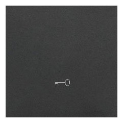 TKWK1/116 Klawisz pojedynczy z piktogramem klucza do mechanizmów SW1MR, SW6MR, SW7MR lub SP1MR Grafitowy Mat Simon 55 - Widok z przodu