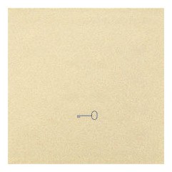 TKWK1/144 Klawisz pojedynczy z piktogramem klucza do mechanizmów SW1MR, SW6MR, SW7MR lub SP1MR Szampański Mat Simon 55 - Widok z przodu