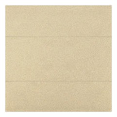 TP/144 Zaślepka ramki bez mostka Szampański Mat Simon 55 - Widok z przodu