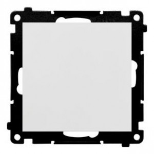 TW1.01/114 Łącznik pojedynczy 10A Jasnoszary Mat Simon 55 - Widok z przodu