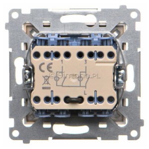 TW5L2.01/144 - Widok z tyłu)